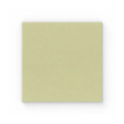 Curativo De Prata AG+ Carvão Ativado Exufiber 10x10cm Mölnlycke Unidade