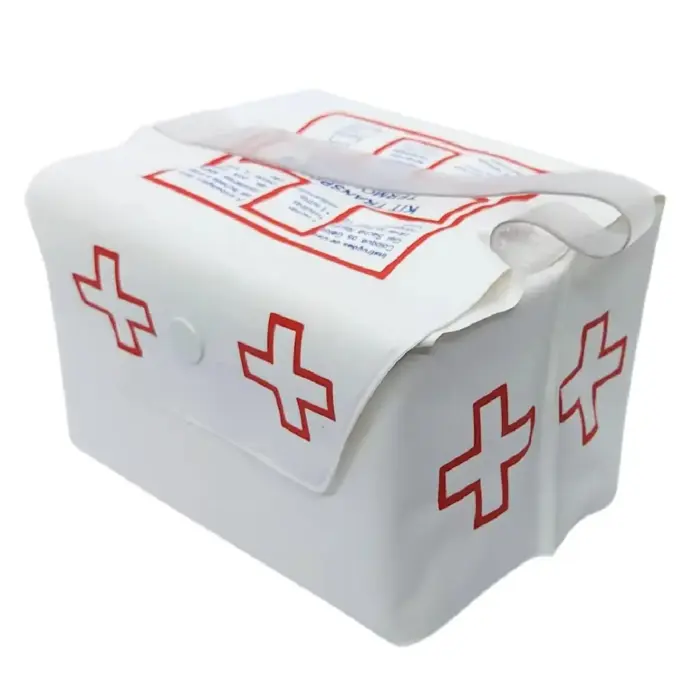 Kit Transporte de Insulina 1000ml Bolsa Térmica com Gelo Rígido Incluso