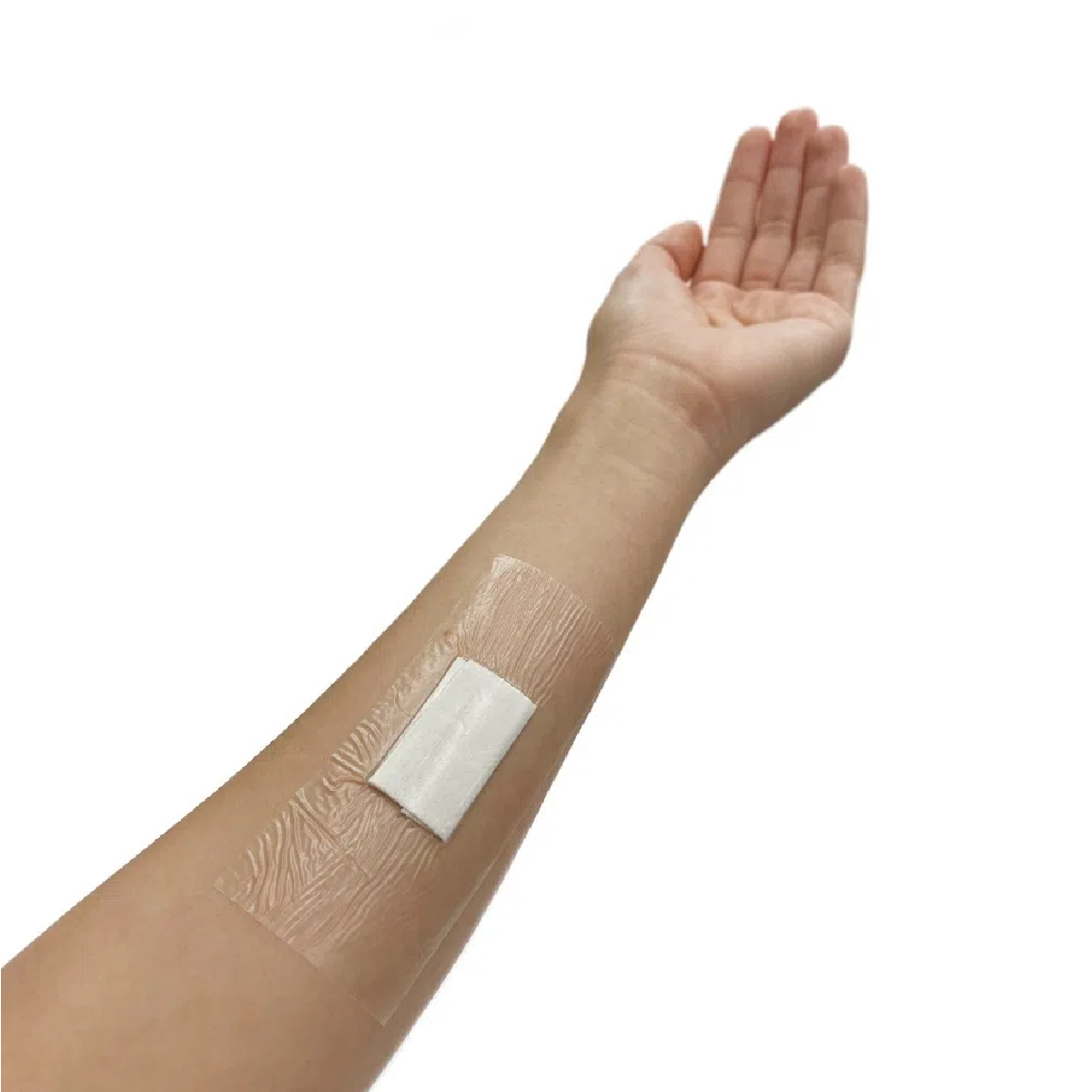 Plástico Para Estufa 6mm - Proteção UV E Alta Transmissão De Luz