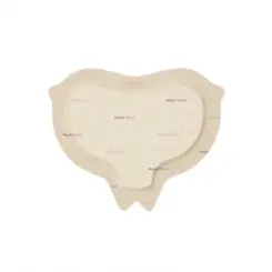 Curativo Mepilex Border Sacrum 22x25cm Mölnlycke Unidade