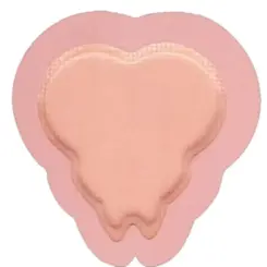 Curativo Allevyn Adhesive Sacrum 17x17 Smith