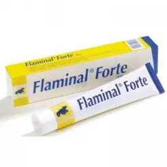 Gel Cicatrizante para Feridas Crônicas Flaminal Forte 50G - Flen Health