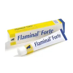 Gel Cicatrizante para Feridas Crônicas Flaminal Forte 50G - Flen Health