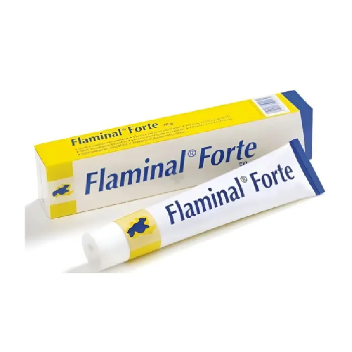 Gel Cicatrizante para Feridas Crônicas Flaminal Forte 50G - Flen Health