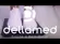 Balança Digital Corporal Smart Tela LED Preta Até 180kg Dellamed