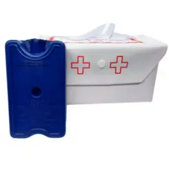 Kit Transporte de Insulina 2000ml Bolsa Térmica com Gelo Rígido Incluso