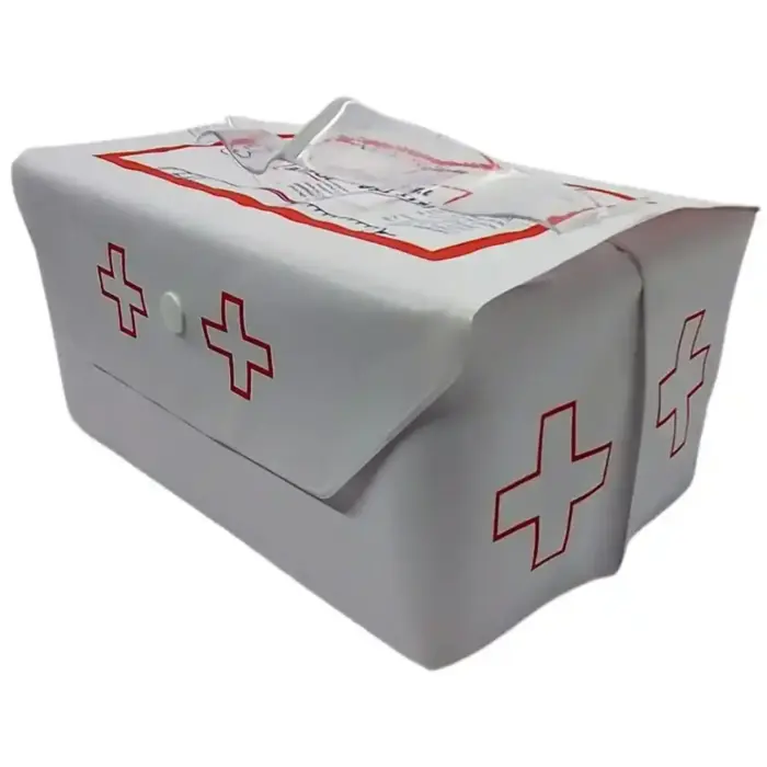 Kit Transporte de Insulina 2000ml Bolsa Térmica com Gelo Rígido Incluso