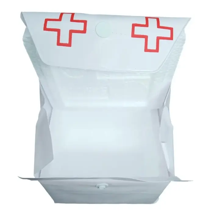 Kit Transporte de Insulina 2000ml Bolsa Térmica com Gelo Rígido Incluso